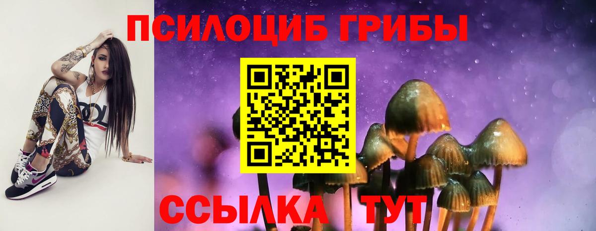 Дубна  Галлюциногенные грибы Psilocybe  Вход с VPN 